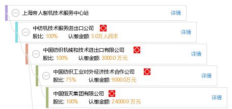 上海帝人制机技术服务中心站工商信息与信用报告解析
